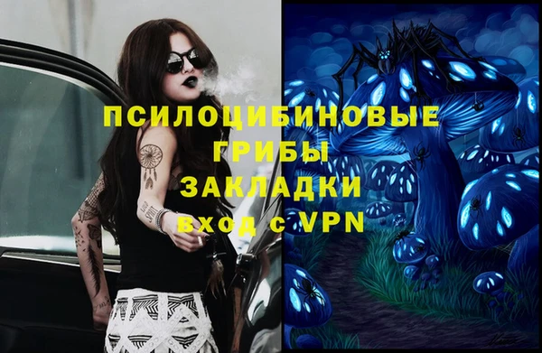 скорость Бородино