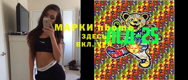 сатива Верея