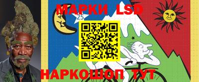 эйфоретик Аргун